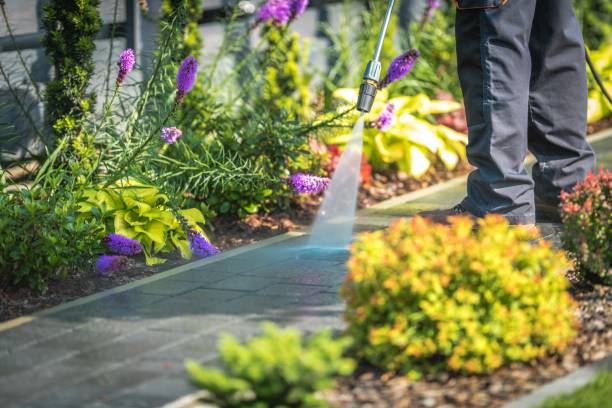 Best Pre-Holiday Cleaning  in Jericho, NY